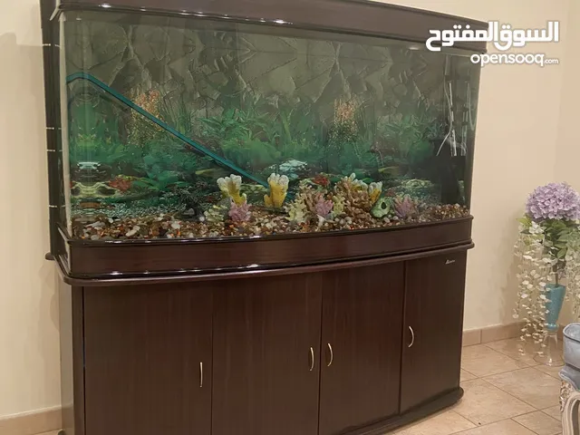 Fish Tank Aquarium (Negotiable)