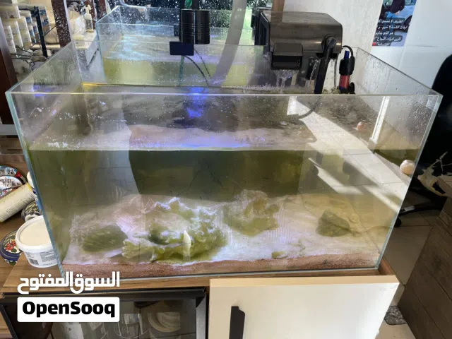 حوض اسماك بحري مع سمك و شرم و نجمة البحر حيه و كراب سلطعون و مرجان حيه