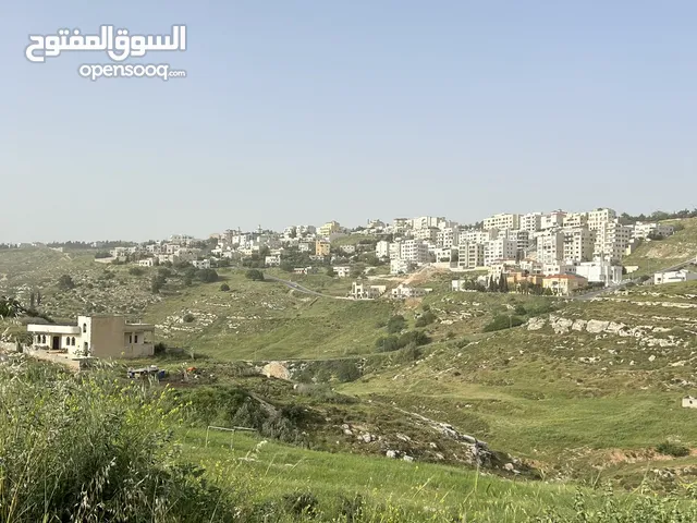 Mixed Use Land for Sale in Amman Dabouq