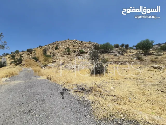 ارض للبيع في منطقة البحاث تصلح لبناء مزرعة بمساحة ارض 6,125م