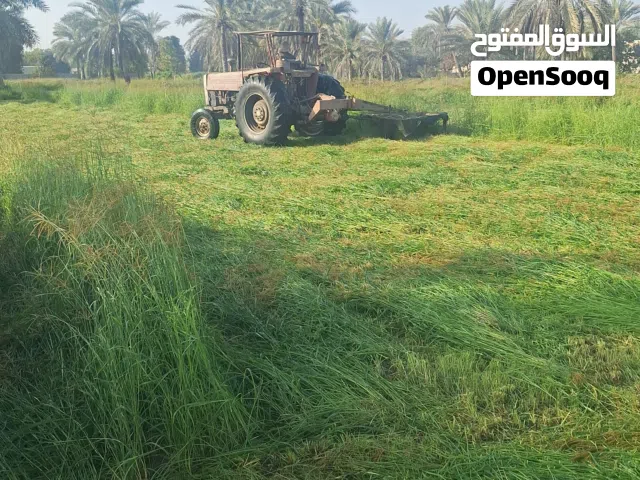 للبيع بذر حشيش ناعم