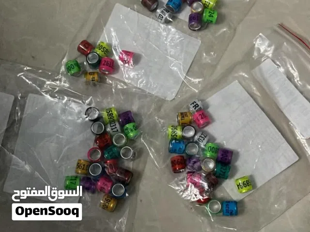 بيع دبل الحمام