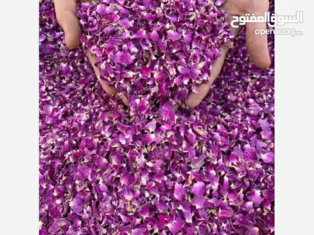 برعم ورد إيراني فاخر