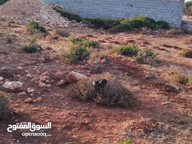 Farm Land for Sale in Jebel Akhdar Cyrene