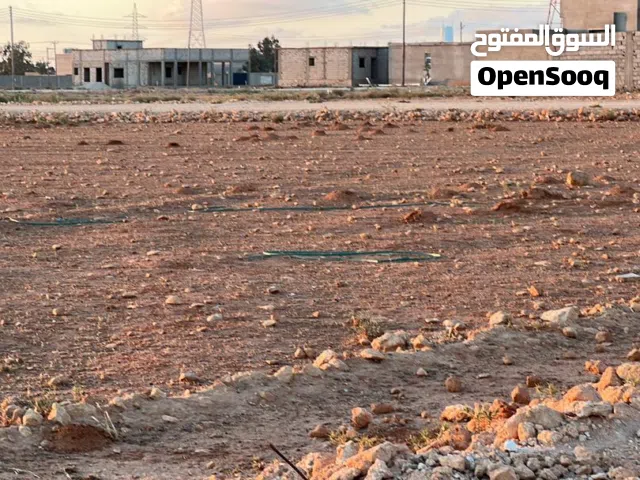 قطعة أرض في لاطيوش 1000م للبيع
