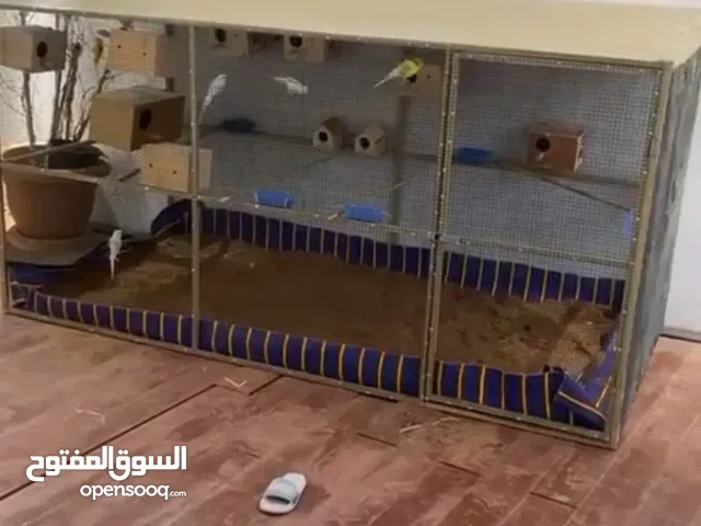 قفص مترين وربع ف متر وطول متر وشويه للبيع