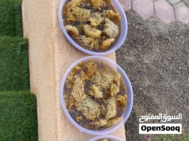 عسل بشمعه بطويق برم انتاج سنه ما شاء الله