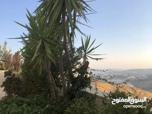 750 m2 More than 6 bedrooms Villa for Sale in Amman Dabouq