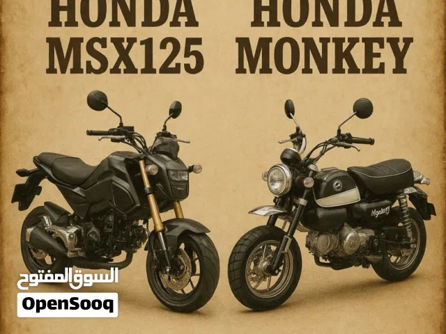 wanted honda Grom or Monkey in excellent condition