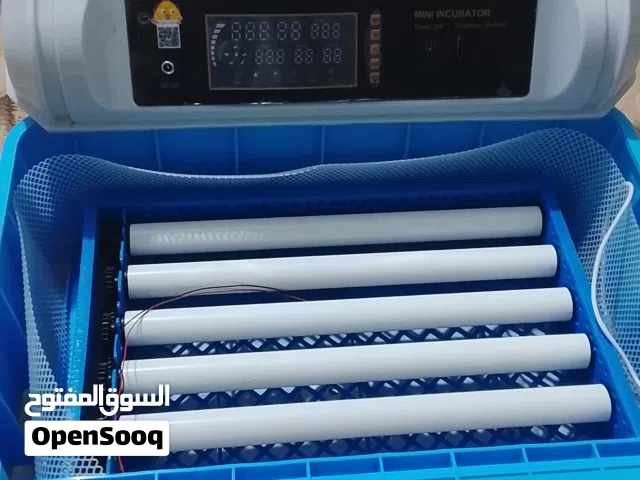 فقاصت دحيي