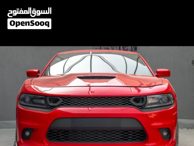شبك دوج تشارجر srt