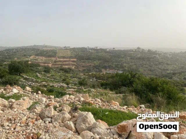 ارض للبيع موجوده في المدور