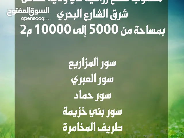 Farm Land for Sale in Al Batinah Shinas