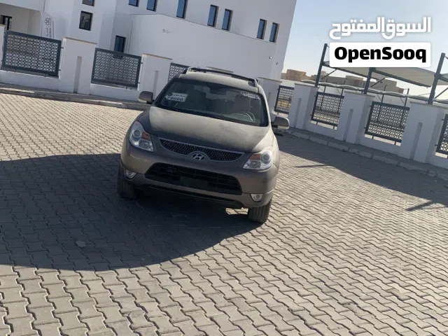 هوينذاى فيراكروز2010