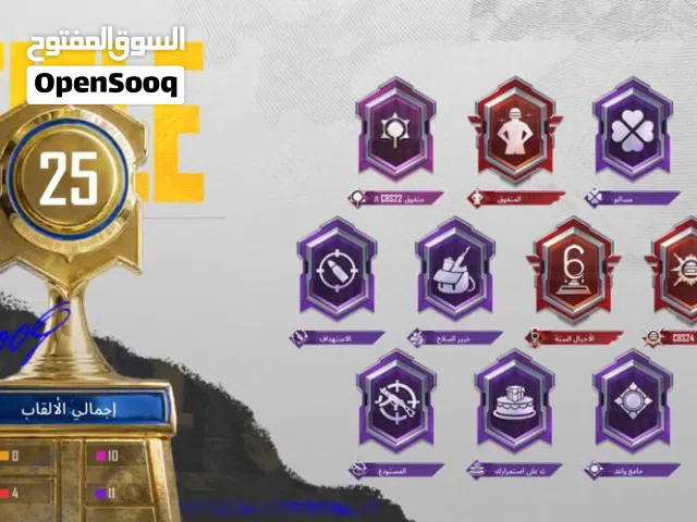 Pubg Accounts and Characters for Sale in Jafara