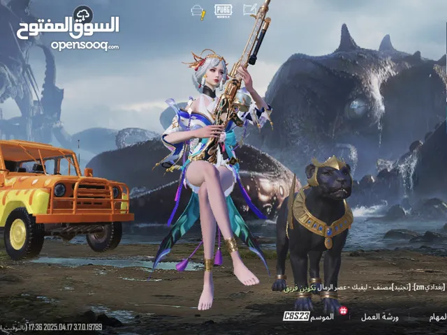 Pubg Accounts and Characters for Sale in Jeddah