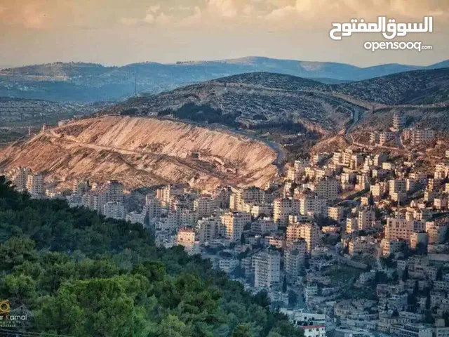 شروة 32 شنطة فقط 600 شيكل