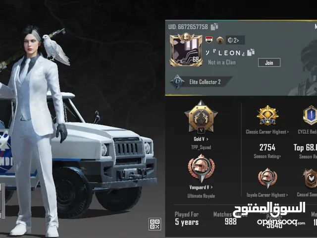 Pubg Accounts and Characters for Sale in Basra
