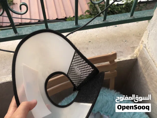 اغراض قطه اذا بدك تفاصل لا ترن