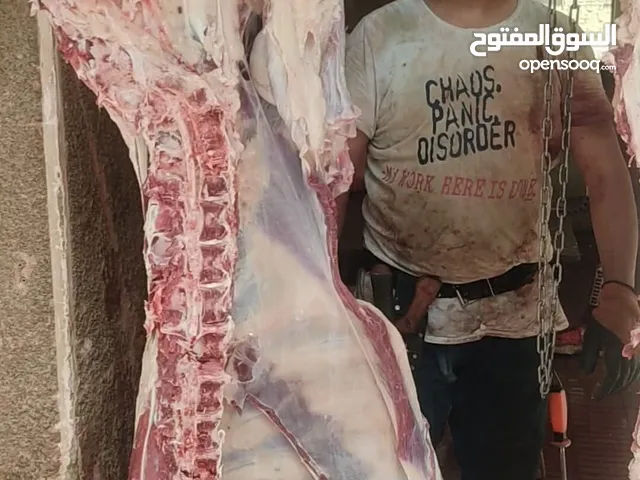 ابو احمد الجزار لزبح جميع اضاحي العيد ماعز خرفان عجول جمال