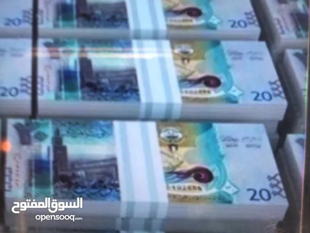 نشتري غنم ومعزا العدد مفتوح والدفع كاش من جميع مناطق الكويت