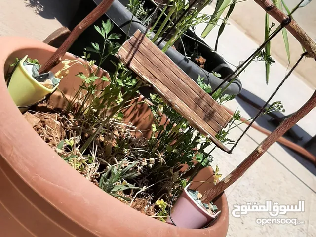 ارجوحة خشبية