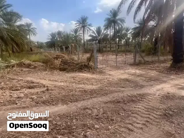 أرض دونم للبيع طابو زراعي سند 25 وجه 25 مسيج