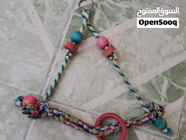 Birds accessories all types