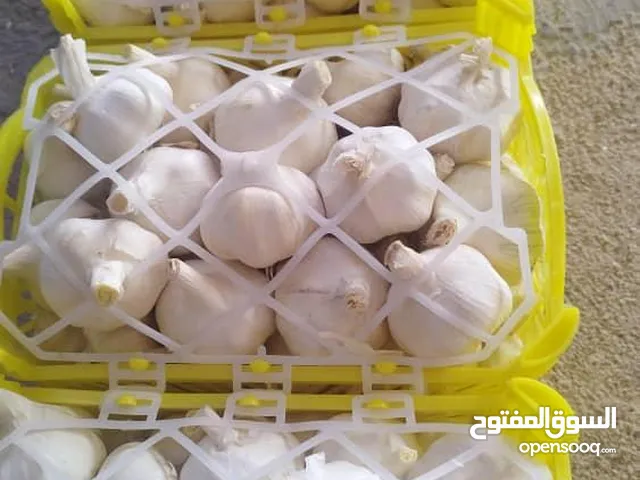 white and red fresh garlic