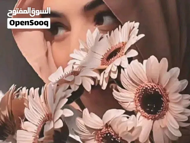 Others Other Other TV in Zarqa