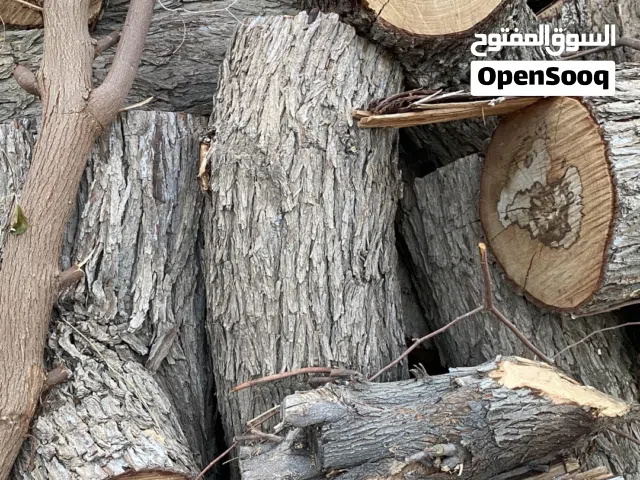 حطب غاف كيمه محدوده فقط