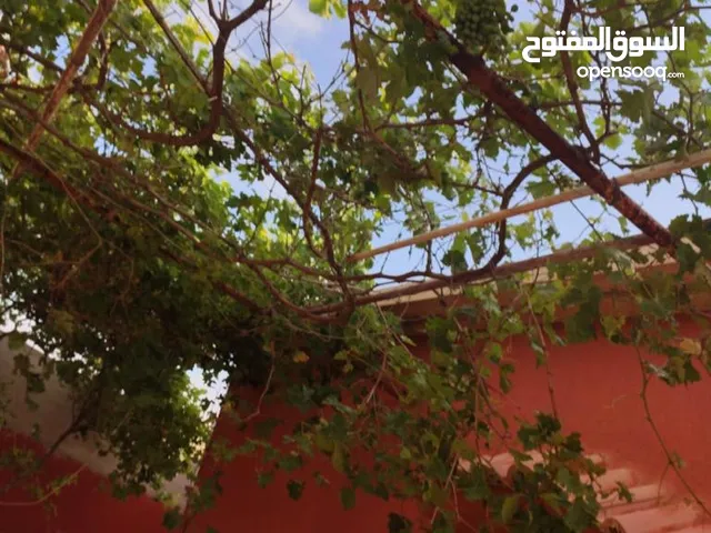 Mixed Use Land for Sale in Benghazi Sidi Faraj