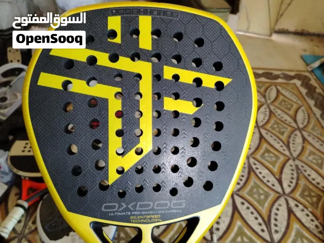 مضارب بادل