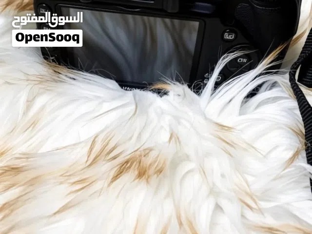 كاميرة نيكون استخدام خفيف جدا