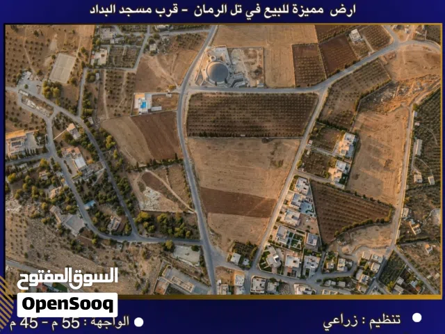 Farm Land for Sale in Amman Al Urdon Street