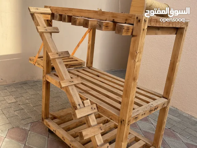 بيت لي القطط