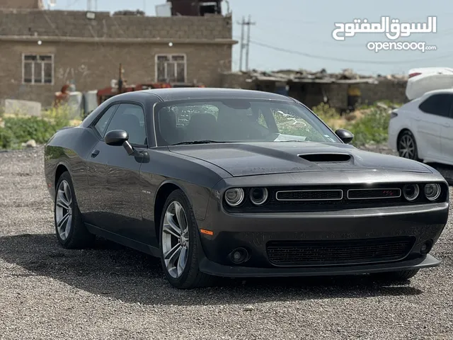 Used Dodge Challenger in Mosul