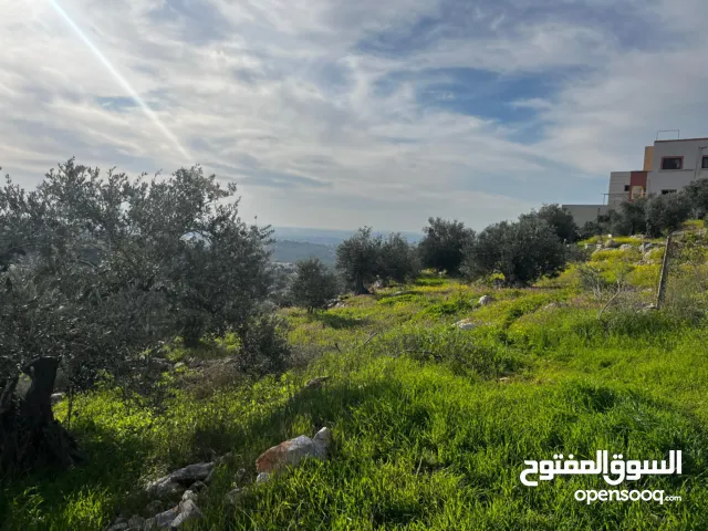 Mixed Use Land for Sale in Tulkarm Bal'a