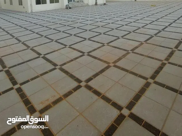 باسكو جديد نخب اول