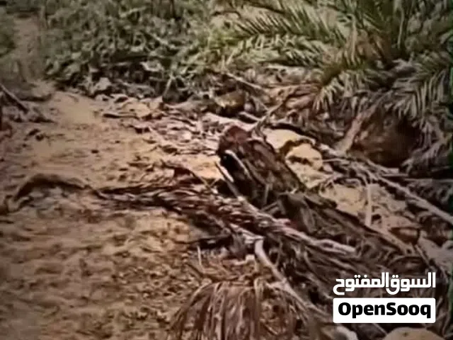 مسجل القران الكريم