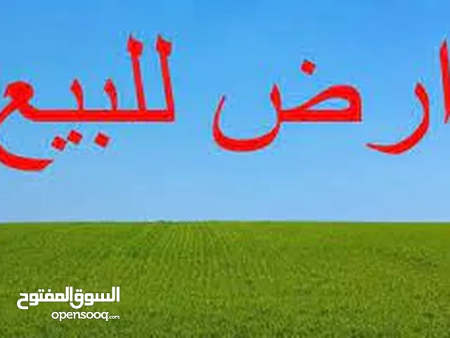 Farm Land for Sale in Mafraq Al-Badiah Ash-Shamaliyah