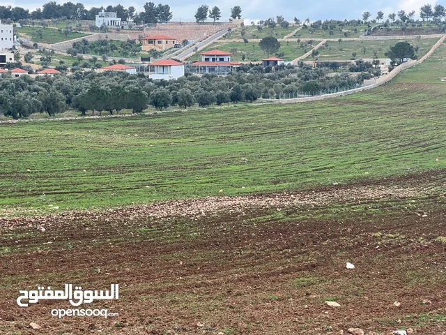 Mixed Use Land for Sale in Jerash Al-Mastaba