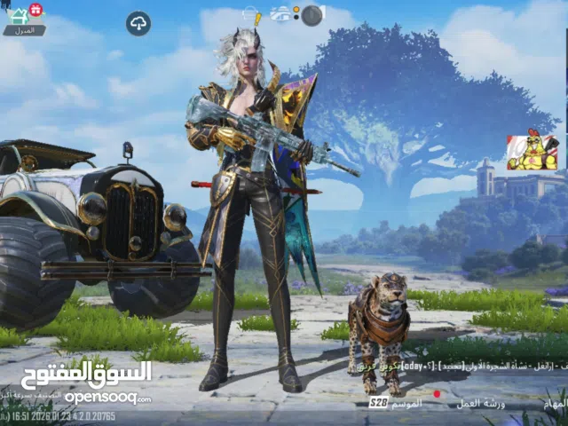 Pubg Accounts and Characters for Sale in Giza