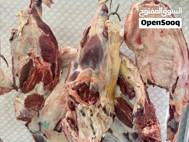 نستقبل حجوزات عيد الفطر