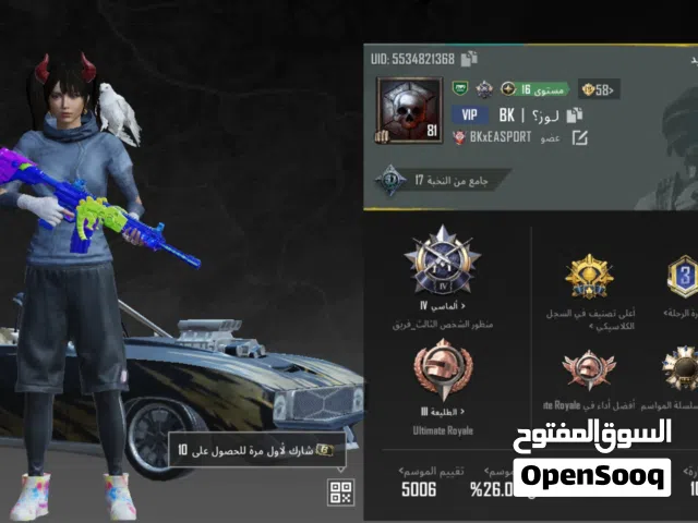 Pubg Accounts and Characters for Sale in Sharjah