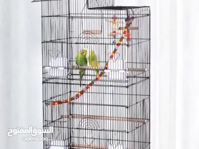 قفص طيور جديد