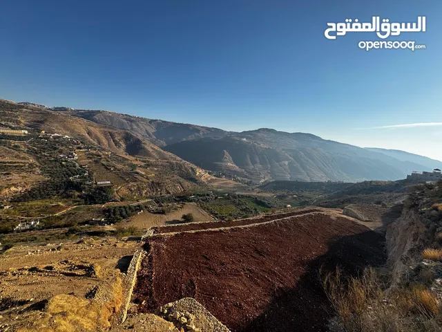 مزرعة مميزة في البحاث و وادي الشتاء السياحي على اعلى قمة و مخدومة بالكامل ومروية من نبع البحاث