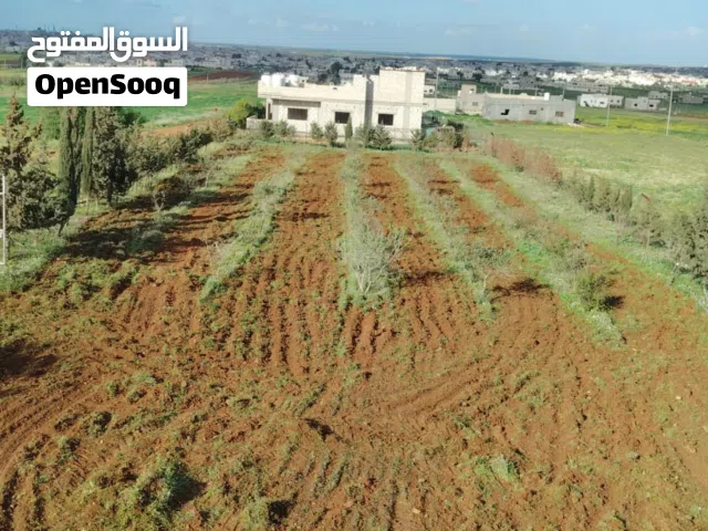 Residential Land for Sale in Ramtha Al Torra