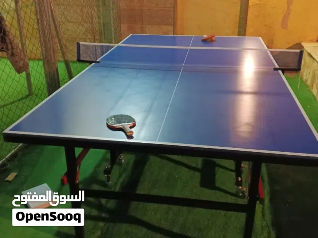 طاولة تنس خارجي مطري نخب فعلي ميلامين