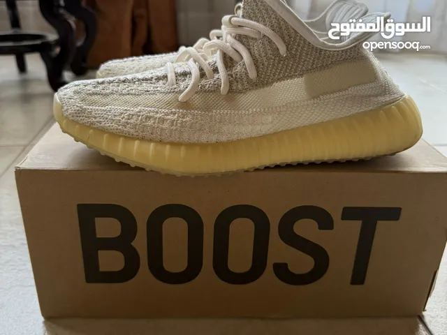 Yeezy boost 350 v2
